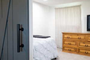 Bedroom featuring light colored carpet