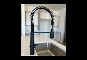 Beautiful Black Fixtures Throughout