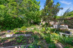 View of yard featuring a vegetable garden