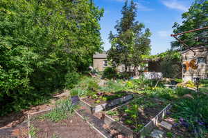 View of yard with a vegetable garden