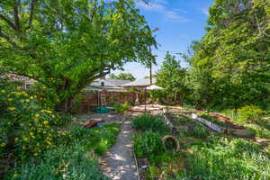 View of yard with a vegetable garden