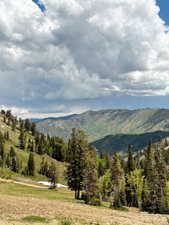 Powder Mountain