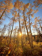 Powder Mountain