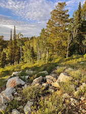 Powder Mountain
