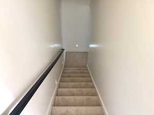 Stairs featuring baseboards and carpet floors