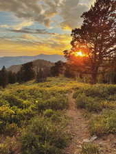 Powder Mountain