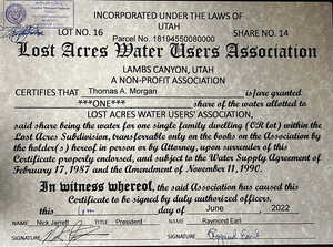 View of miscellaneous document