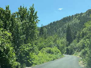 View of asphalt road featuring a view of trees