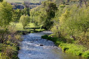 Beautiful East Canyon Creek flows through the Ranch-great fishing!