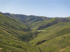 Looking up Sheep Creek Canyon-the Ranch includes almost all of it.