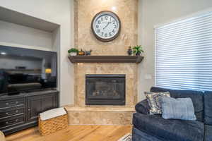 Living room featuring wood finished floors and a premium fireplace