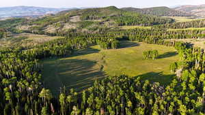 Aerial view of property's location with a mountain backdrop