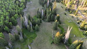 Aerial view of property and surrounding area