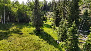 View of local wilderness