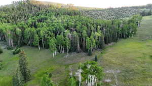 Aerial view of property and surrounding area featuring a heavily wooded area