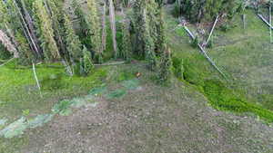 View of nature