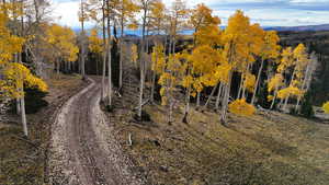 View of dirt / gravel road featuring a view of trees