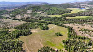 Aerial view of a water and mountain view