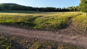 View of woods
