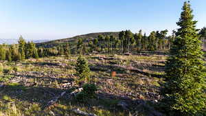 View of mountain backdrop