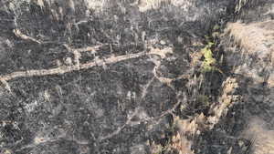 Aerial view of property's location