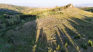 View of mountain background