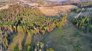 Aerial overview of property's location featuring a forest