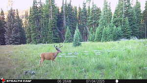 View of undeveloped land