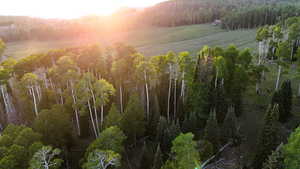 Aerial view of property and surrounding area featuring a heavily wooded area