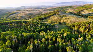 Aerial view of property's location featuring mountains and a forest