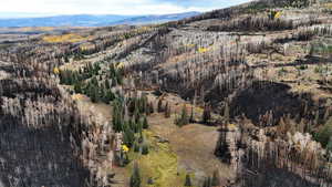 Aerial view of a mountain backdrop and a heavily wooded area