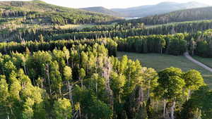 Mountain view featuring a heavily wooded area