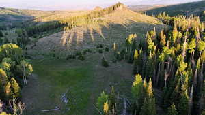 View of property location with a heavily wooded area and mountains
