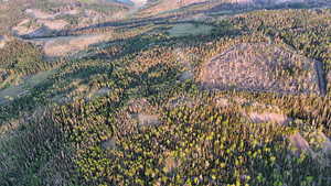 Aerial view of property and surrounding area with a heavily wooded area