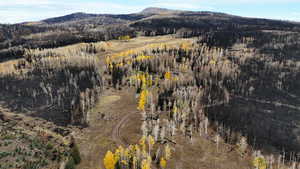 Bird's eye view of a mountainous background
