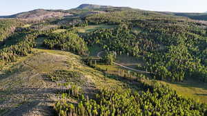 View of mountain background featuring a heavily wooded area