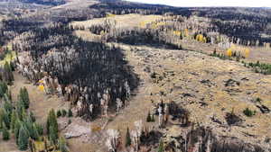 View of mountain backdrop with a heavily wooded area