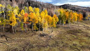View of yard featuring a view of trees