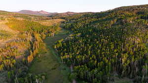 View of mountain backdrop featuring a forest