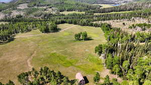 Aerial view of a mountain backdrop and a forest