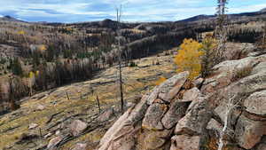 Mountain view featuring a heavily wooded area