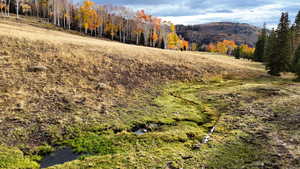 View of yard with a view of rural / pastoral area, a forest view, and a mountain view