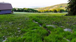 View of yard with a mountain view