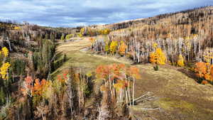 Bird's eye view of a heavily wooded area