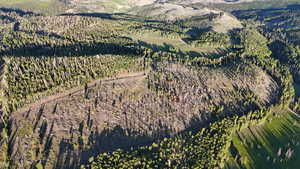 Aerial view of property's location
