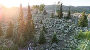 View of nature with mountains