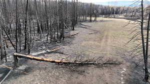 View of local wilderness with rural landscape