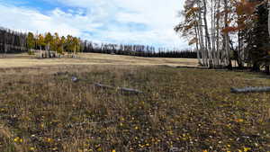 View of yard with a rural view