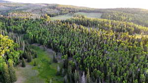 Aerial view of property's location with a forest