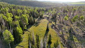 View of property location with a heavily wooded area